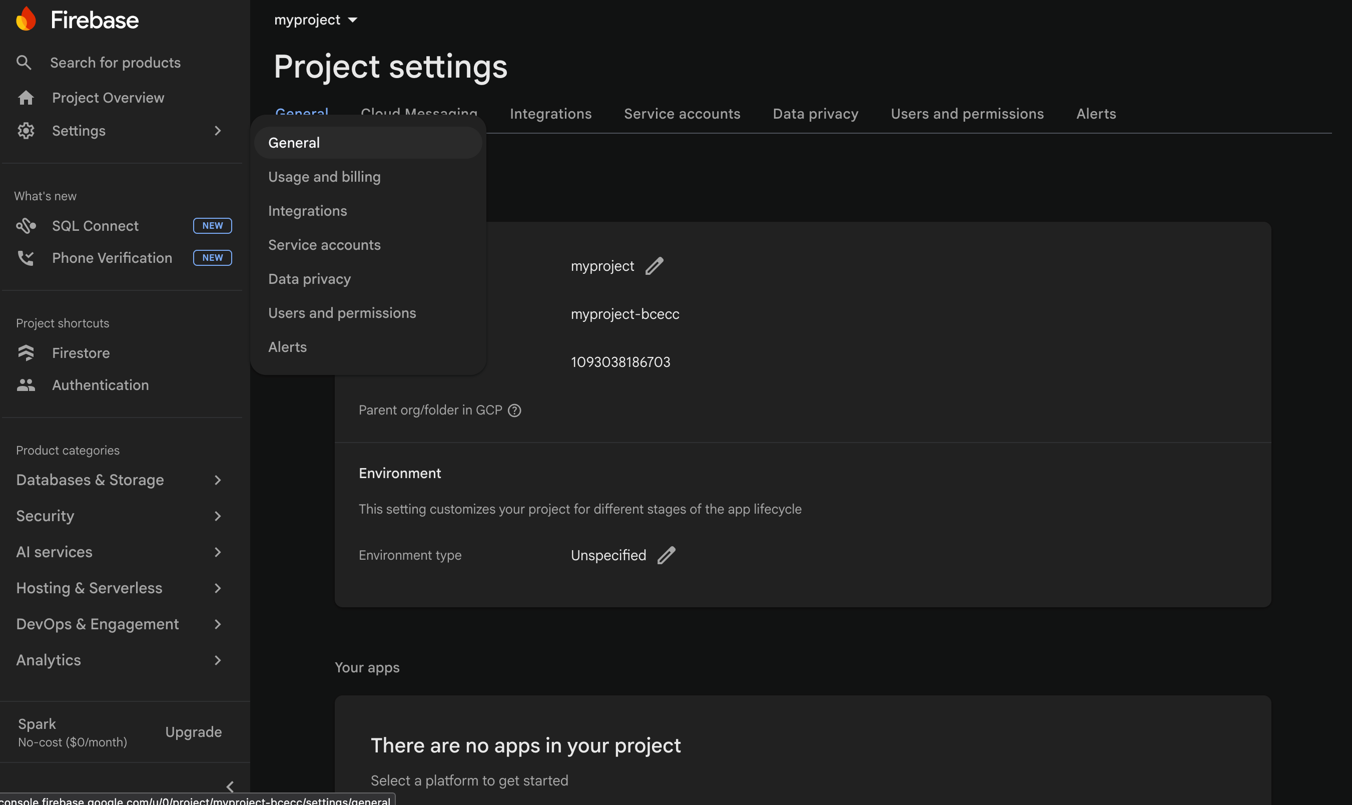 Step 19 — point 1: open Project settings